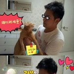 냥이를 사랑하면 ...다친다...