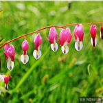 신약시대 안식일과 하나님의교회