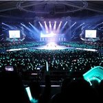 <b>샤</b><b>월</b>들