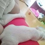나도 아는척좀해줘!!