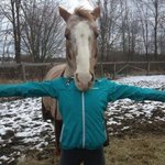 한번 더 보게되는 <b>동물</b>사진들ㅋㅋ