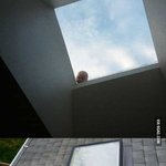 "엄마 날 내버려<b>두지</b>마...." 햇빛 쬐기위해 아기를....