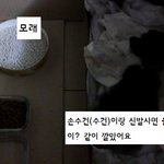 사진有)) 길냥이를 주워왔습니다 병원까지 1주일..어떻게 해야되나요...