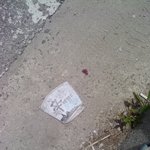 신라면이 얼마나더웠으면ㅉ