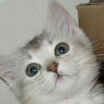 [사유이야기2]<b>비닐</b>세계에 갇힌 사유~ 씬난다!!씐나!!!