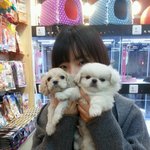 최퐁과 최꾸룽의 하루.