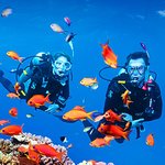 제주 자유이용권 구입했답니다.