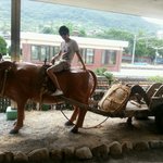 1) 남자친구와 특별한 데이트!! 사진有