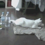 <b>라바</b>의 무서운 이야기61