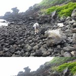 둘이서 2박3일 제주도 뚜벅이 여행