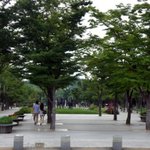 더울 때 일 수록 밖으로 나가자! - 서울숲, 한강공원 데이트*