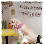 <b>궁뎅</b>이 쉴곳이필요해+_+