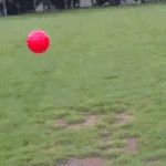 아이돌빠는 새끼 답없음 ㅎ