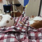 홍이별이 이야기^^
