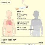 (끔찍) 간접<b>흡연</b>의 피해