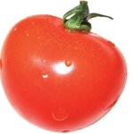 룡플란트치과그룹의 <b>역할</b>