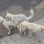 오랜만에 <b>정모</b>하고나서
