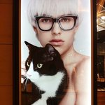 [탄천필근] 코숏 턱시도 탄이 &amp; 브숏 천이 [2]