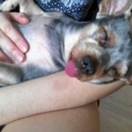 길냥이 3마리와의 <b>묘연</b>~ 이쁜 내 시키들 자랑할려구요~