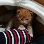 너무<b>뿌듯</b>해서글올려요