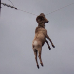 내가 너무 <b>높이</b> 뛰었나? ㅋㅋ