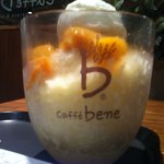 <b>정량</b>이라는 망고빙수