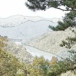 내차 테러범