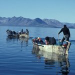 죽기 전에 꼭 먹어봐야 할 괴상한 음식 20선