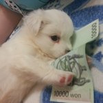 두번째찾아온<b>레오</b>
