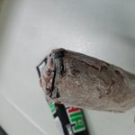 아이스크림에~~~헐? 이건 뭐지?