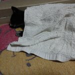 여기좀봐주세요 도와주세요...ㅜㅜ
