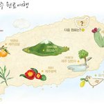 제주도를 피부에 선물하시죠 ㅎㅎ 이니스프리