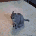 <b>에이</b>~ 귀찮아... 내가 한번 해준다 해줘~~