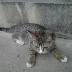 침대는 가구가 아냐♬ 헤브 어 굿잠!