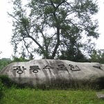 6월의 싱그러움을 느끼러 광릉수목원을 다녀오다!