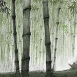음 <b>물의</b>를 일으켜 죄송합니다 ( _ _ )