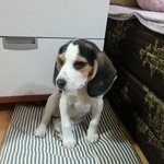 설날에 찾아온 <b>천사</b>