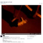 고양이 죽이고 인증하는새끼.facebook (퍼뜨려주세요 )