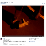 고양이 학대하고 동영상 올린 또라이