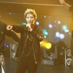 <b>젤로</b> 불쌍해ㅠㅠㅠㅠㅠ