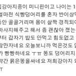저희집강아지가 이상해요ㅠㅠ