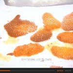 마세코 시즌2 7화 리뷰올려봅니다 ㅎㅎ