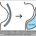 (상식) 뽕브라의 <b>원리</b>