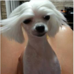 내가 <b>고준</b>희개.jpg