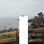 제주도 중국 관광객의 <b>실체</b>...(사진있음)