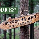 장흥여행 추천 힐링<b>명소</b>! - 정남진을 아시나요?