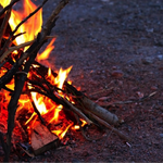 서울에 있는 캠핑장이 궁금하면 '모바일 서울 웹'