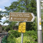 [<b>LIFE</b>]영국- 체다치즈? 체다치즈의 본고장 영국 체다에 가다...