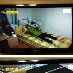 자취생 공감! 엄마가 그리운 순간들