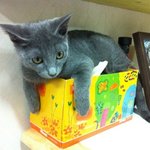 <b>바오</b>의 소소한 일상